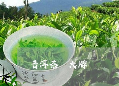 普洱茶 大牌/2023042812888